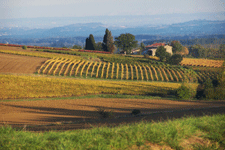 Ateliers Les Landes (Gîtes, chambre d'hôtes, mini camping)