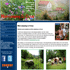 Mini-Camping Le Creux