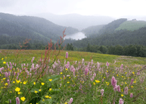 PtitMonde (Chambres d'hôtes-B&B)